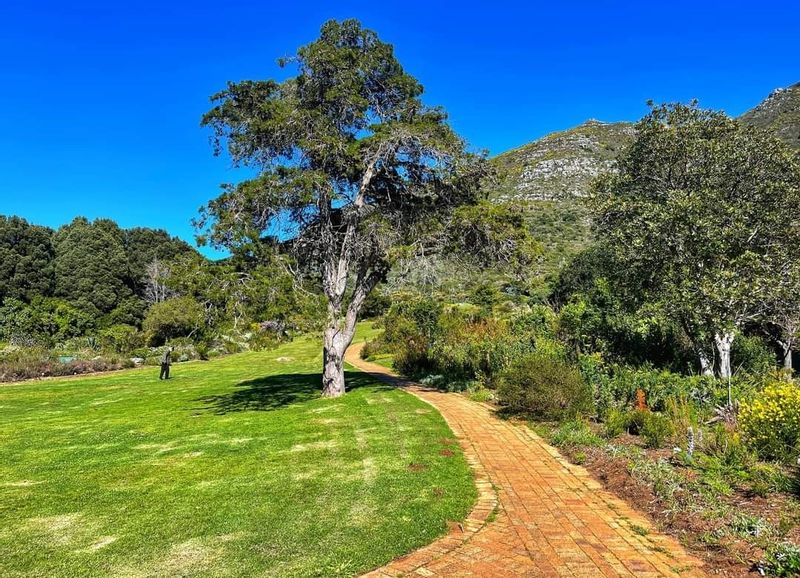 Cape Town Private Tour - Kirstenbosch 