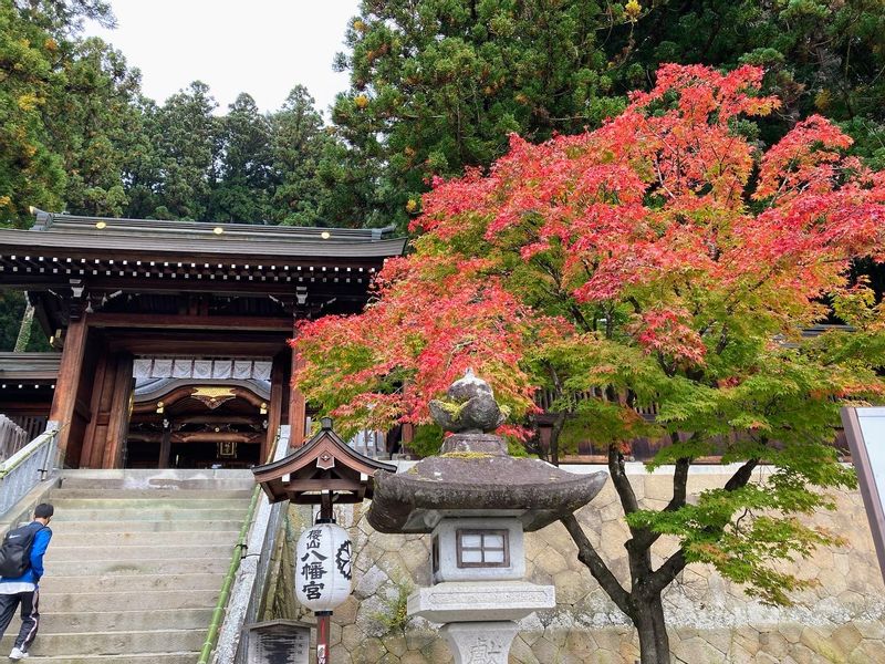 Takayama Private Tour - null