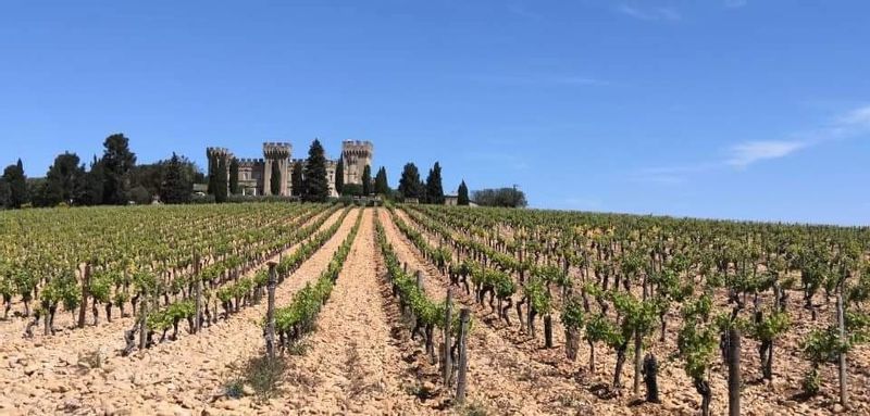 Aix en Provence Private Tour - Chateauneuf du Pape