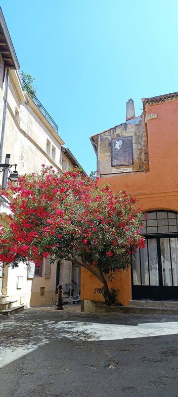 Aix en Provence Private Tour - streets of Arles