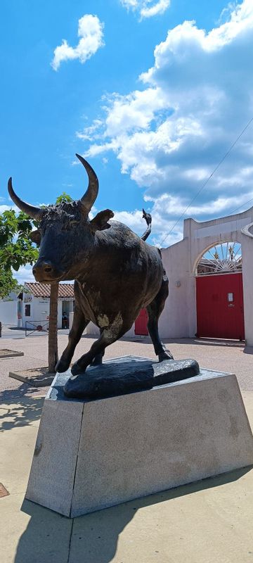 Aix en Provence Private Tour - Bull