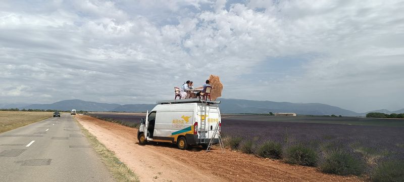 Aix en Provence Private Tour - Lavender