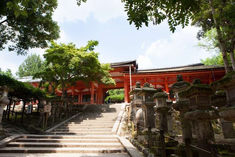 Nara Private Tour - Kasuga Grand Shrine