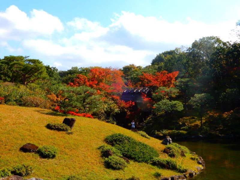 Nara Private Tour - Isuien Garden