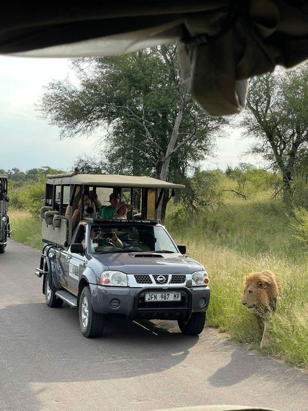 Johannesburg Private Tour - Safari in Pilanesberg National Park 