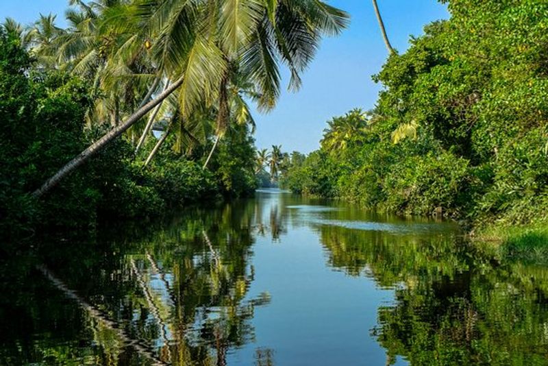 Colombo Private Tour - Negombo Natural Lagoon