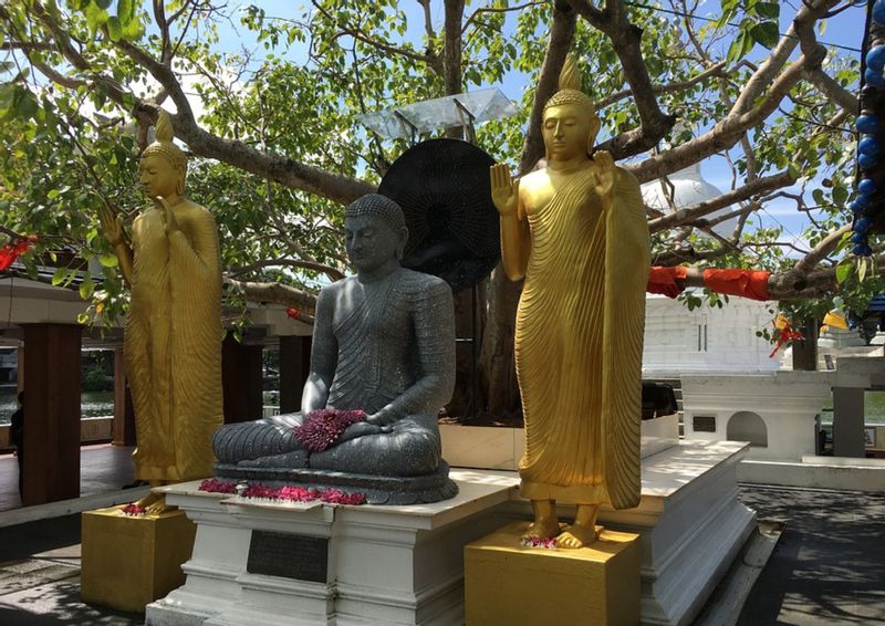 Colombo Private Tour - Gangaramaya Temple