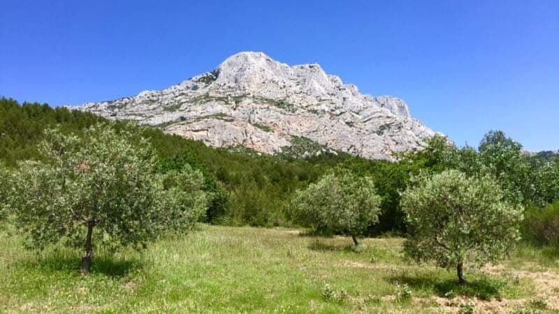 Marseille Private Tour - Ste Victoire