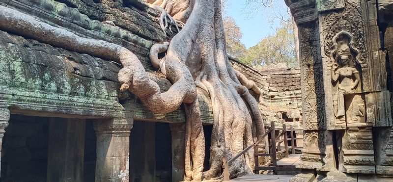 Siem Reap Private Tour - Taprohm