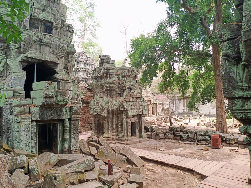 Siem Reap Private Tour - Ta Prohm or Tomb Raider Temples