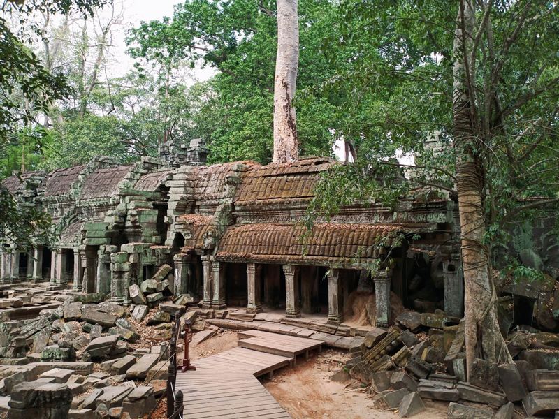 Siem Reap Private Tour - Ta Prohm or Tomb Raider Temples