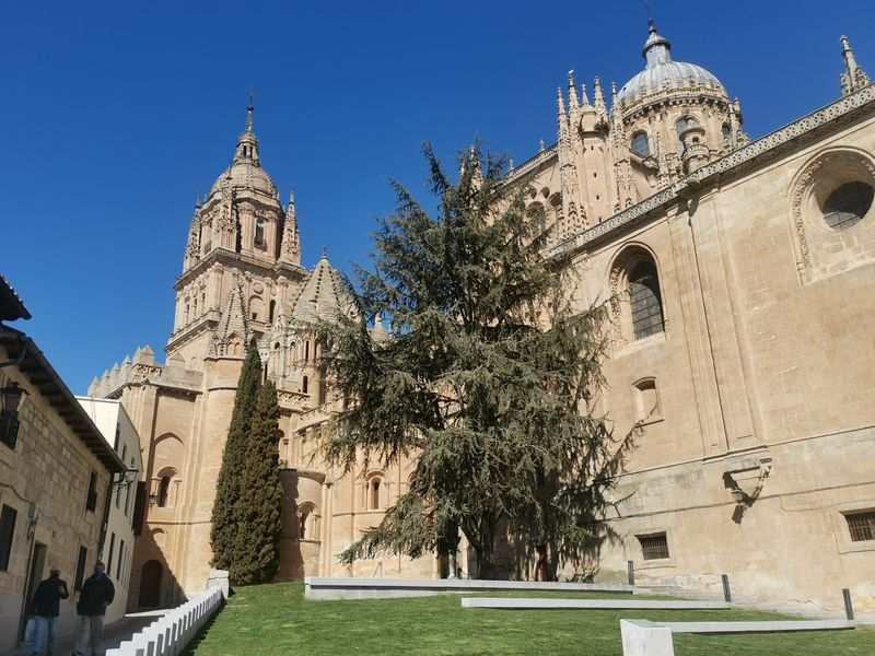 Salamanca Private Tour - Patio chico