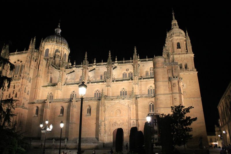 Salamanca Private Tour - New cathedral