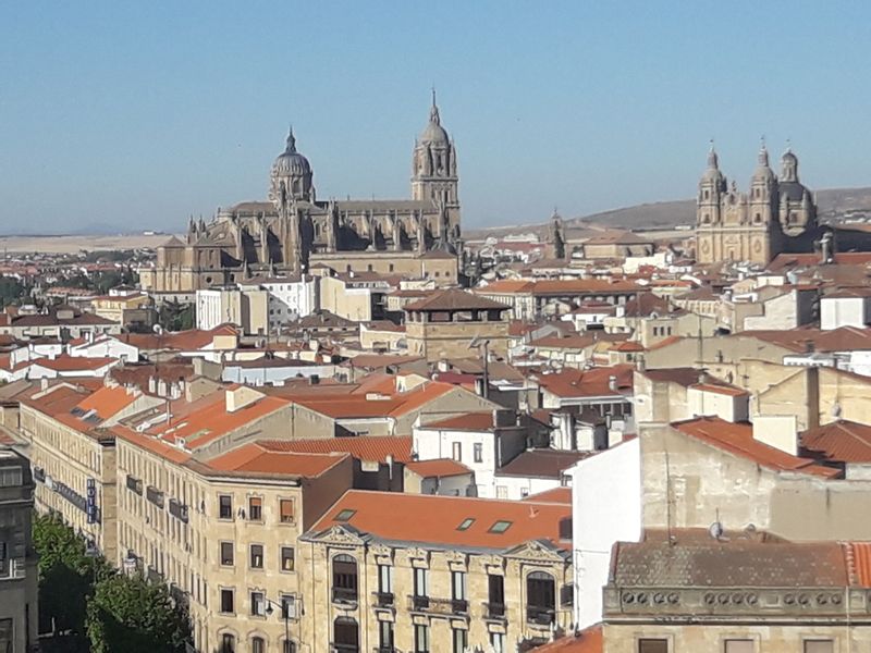 Salamanca Private Tour - Vieuw of Salamanca