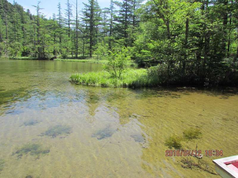 Aichi Private Tour - Lake Tashiro