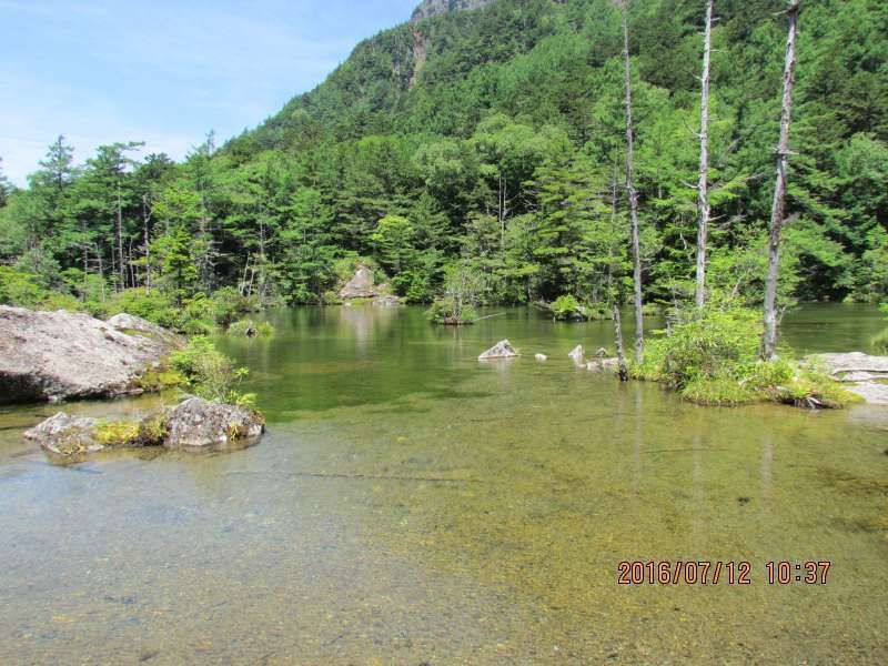 Aichi Private Tour - Myojinike Pond