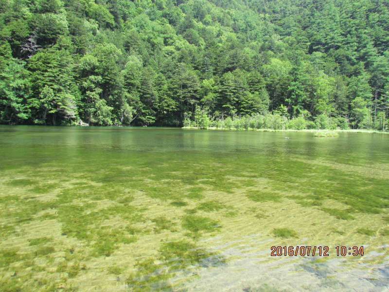 Aichi Private Tour - Myojinike Pond