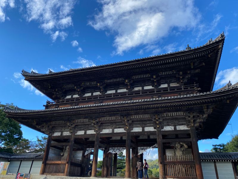 Kyoto Private Tour - Ninnaji Temple