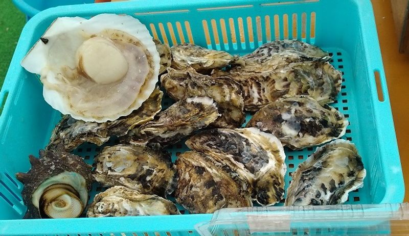 Fukuoka Private Tour - Fresh oyster and other seafood straight out of the ocean.