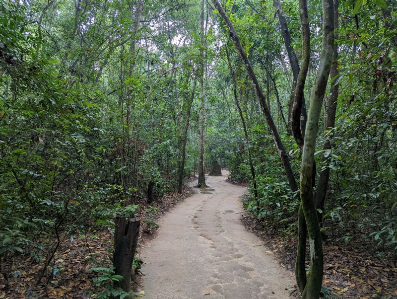 Ho Chi Minh Private Tour - a little path in Cu Chi