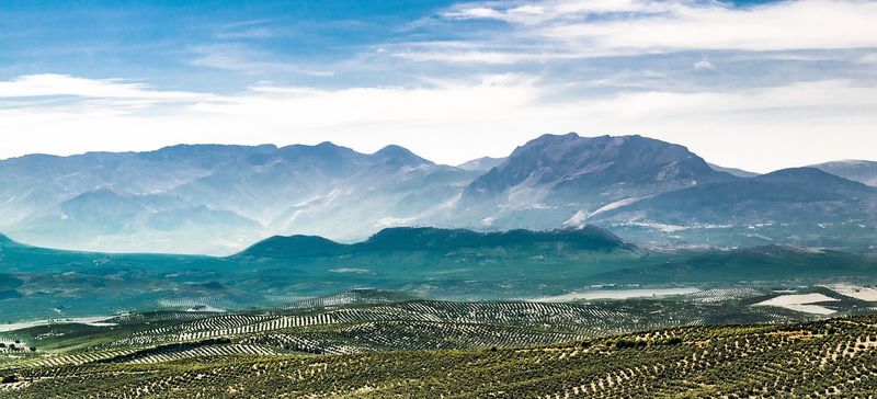 Andalucia Private Tour - View from the old wall