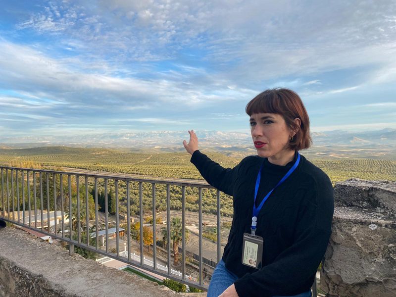 Andalucia Private Tour - Viewpoint over the olive fields