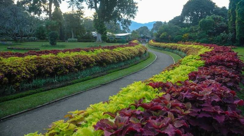 Colombo Private Tour - Botanical garden perade