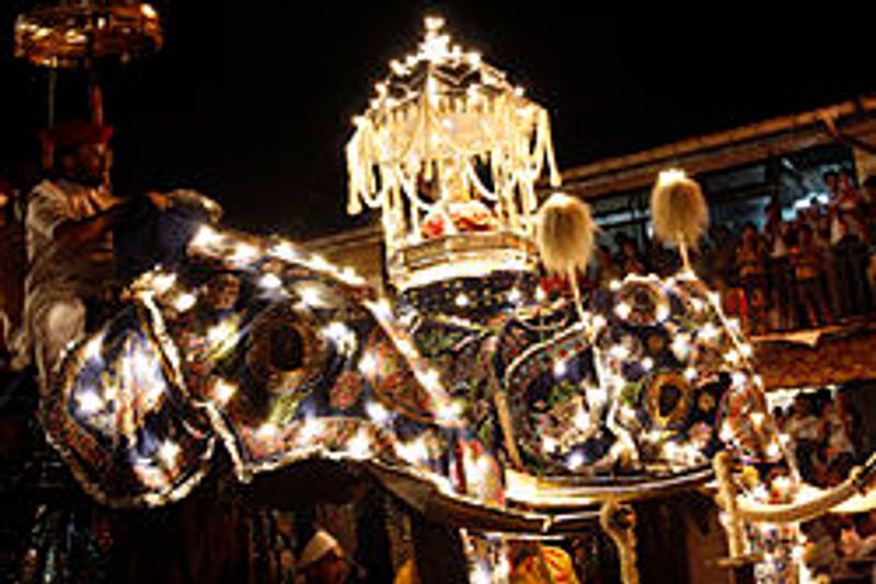 Colombo Private Tour - The Dalada procession of the tooth relic temple kandy