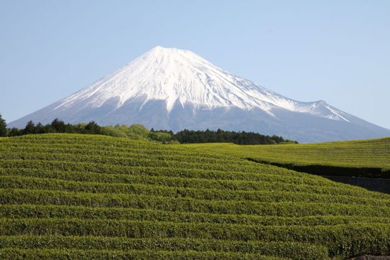 Shimizu Private Tour - Obuchi Sasaba