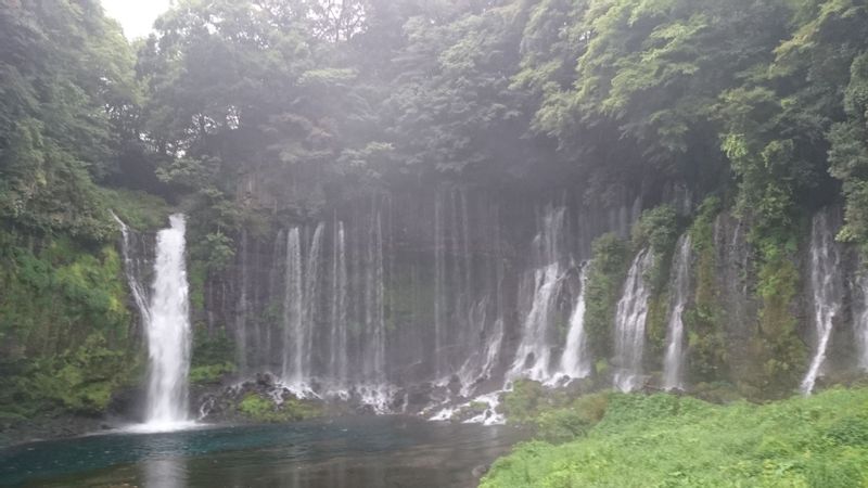 Shimizu Private Tour - Shiraito Waterfalls