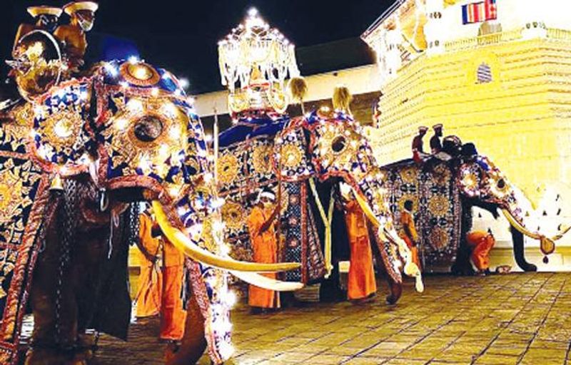 Colombo Private Tour - The Esala Perahera