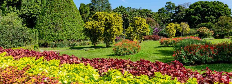 Colombo Private Tour - Flower Garden