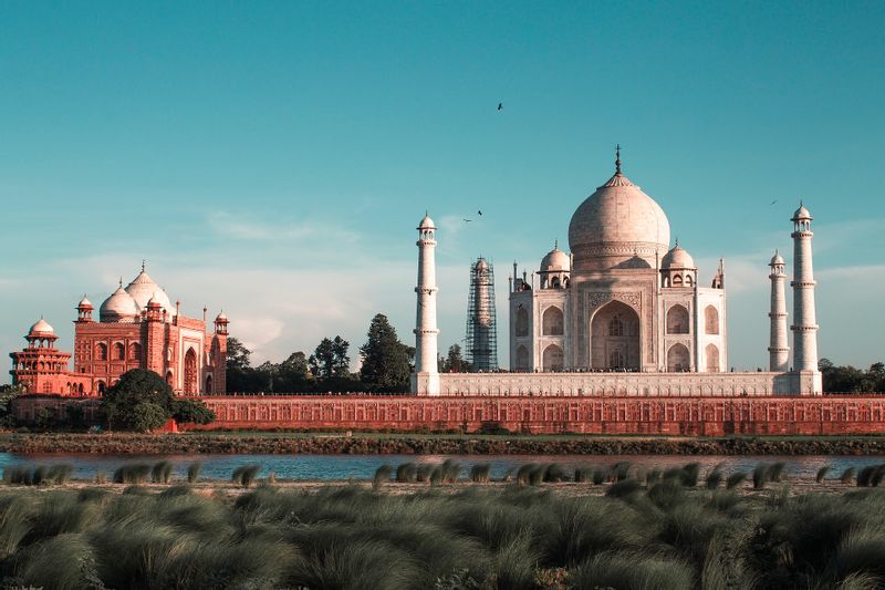 Delhi Private Tour - null