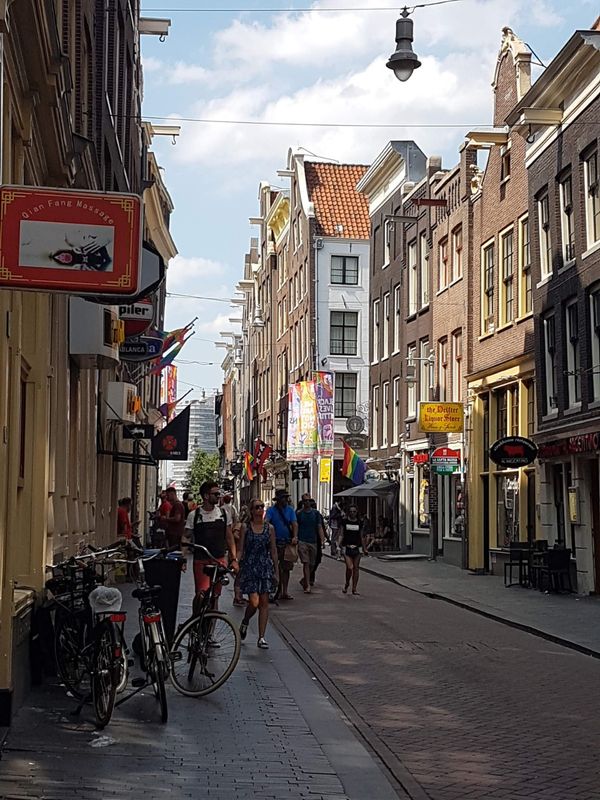 Amsterdam Private Tour - null