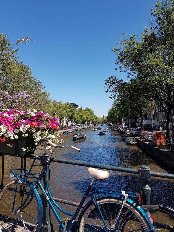 Amsterdam Private Tour - null