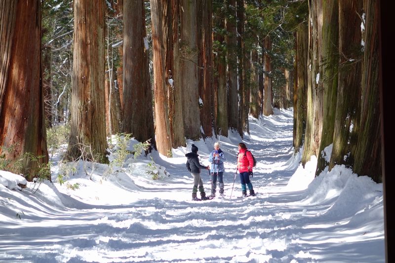 Nagano Private Tour - 400 years old ceder trees lined along the approach of the Okusha shrine