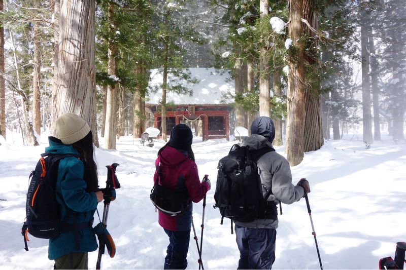 Nagano Private Tour - null