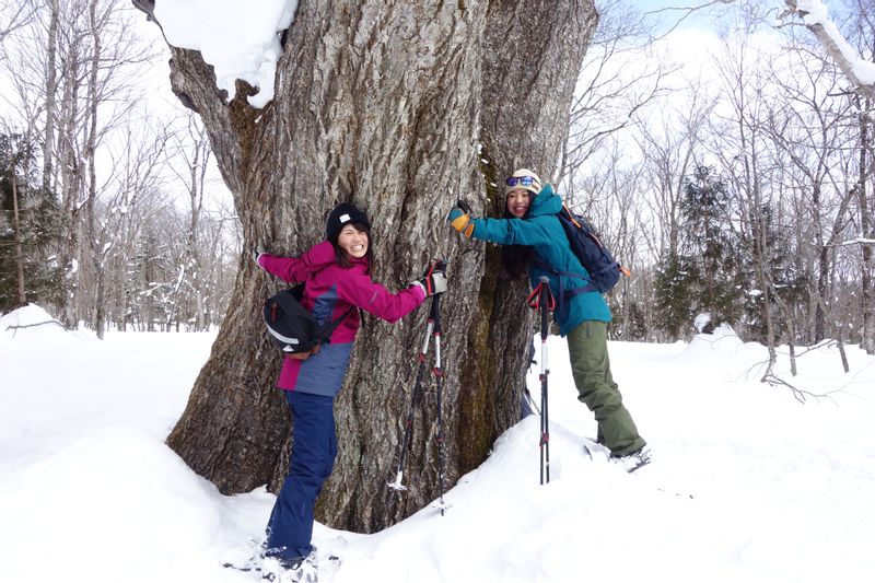 Nagano Private Tour - null