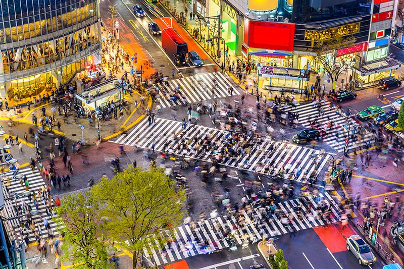 Tokyo Private Tour - Shibuya Pedestrian Scramble  Crossing