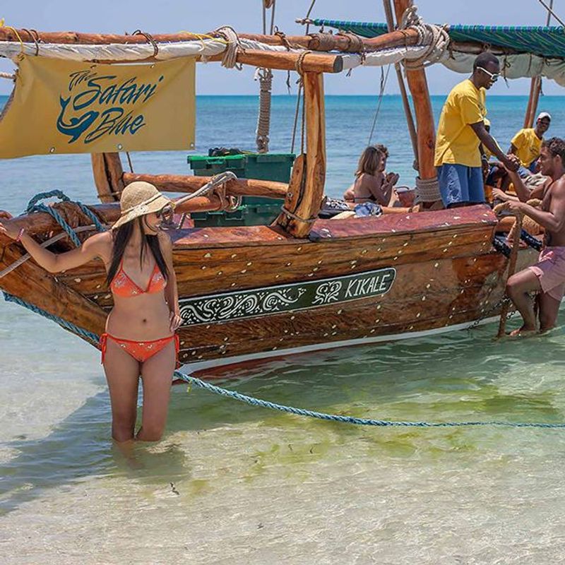 Zanzibar Private Tour - null