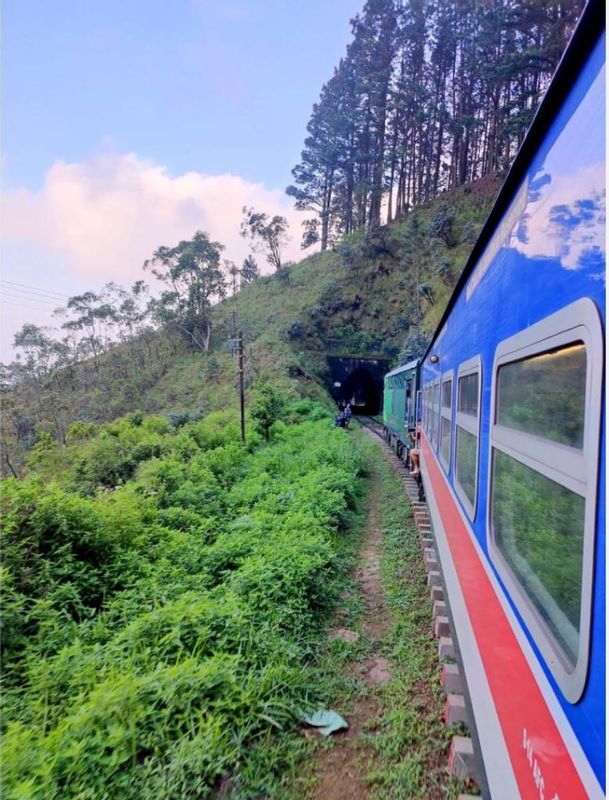 Colombo Private Tour - Nuwara eliya -Ella train ride