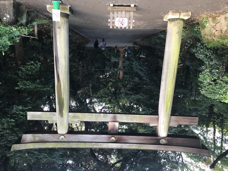 Tokyo Private Tour - Meiji Jingu Shrine entrance