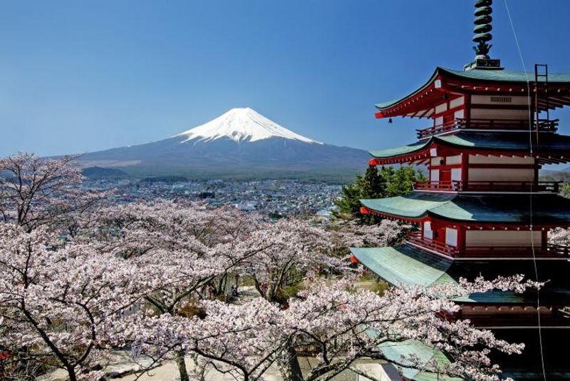 Tokyo Private Tour - Arakurayama Park