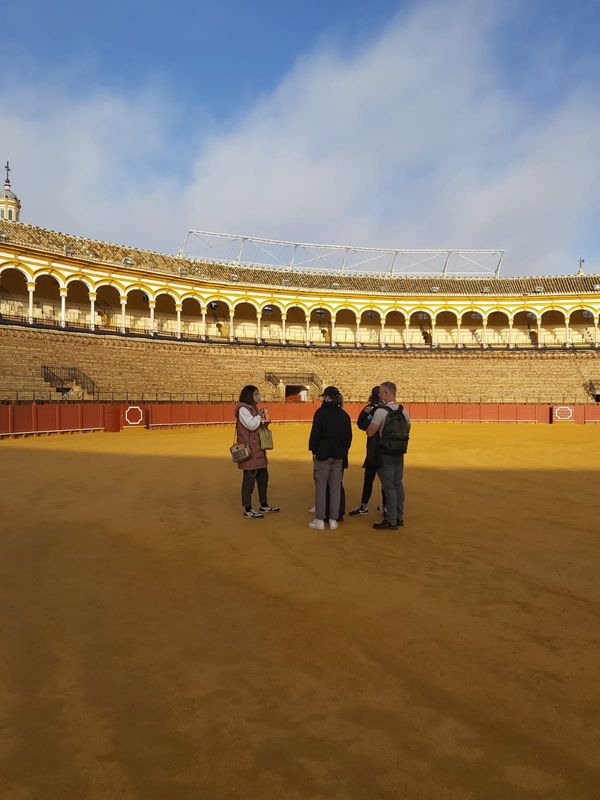 Seville Private Tour - Finishing the tour.