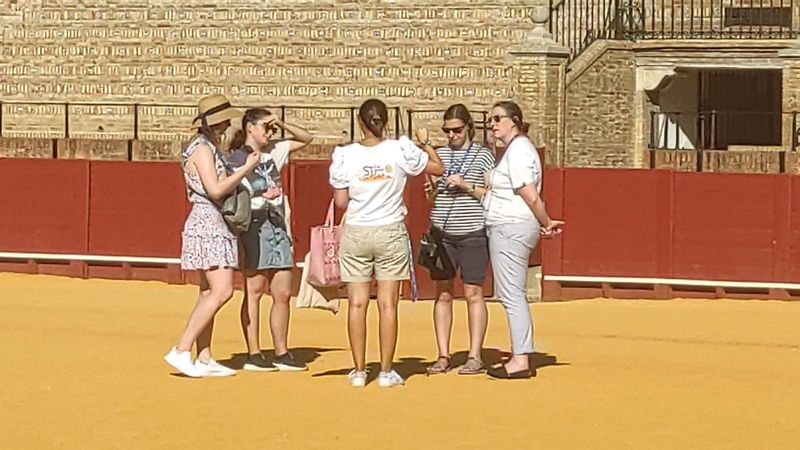 Seville Private Tour - Explaining the arena