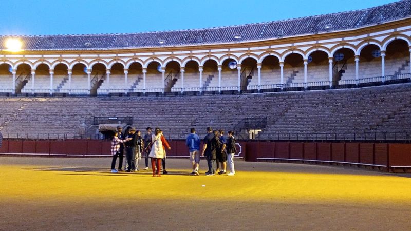 Seville Private Tour - Explaining the arena.