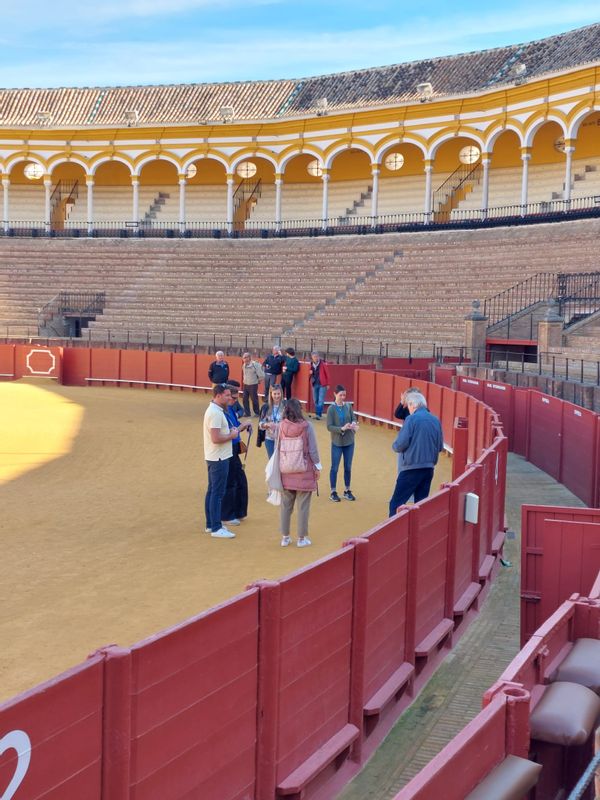 Seville Private Tour - Showing a bullring video with my explanation.