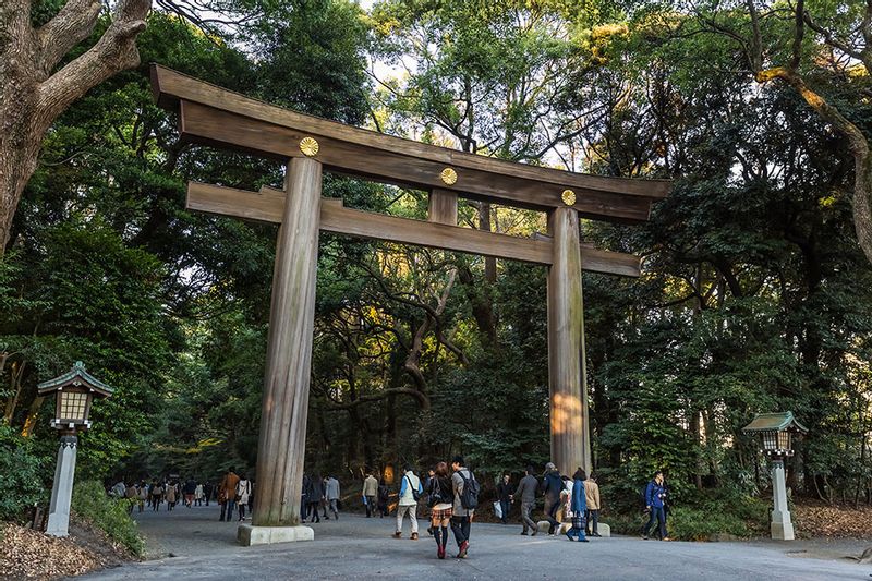 Tokyo Private Tour - The first Torii of Meiji Jingu Shrine 