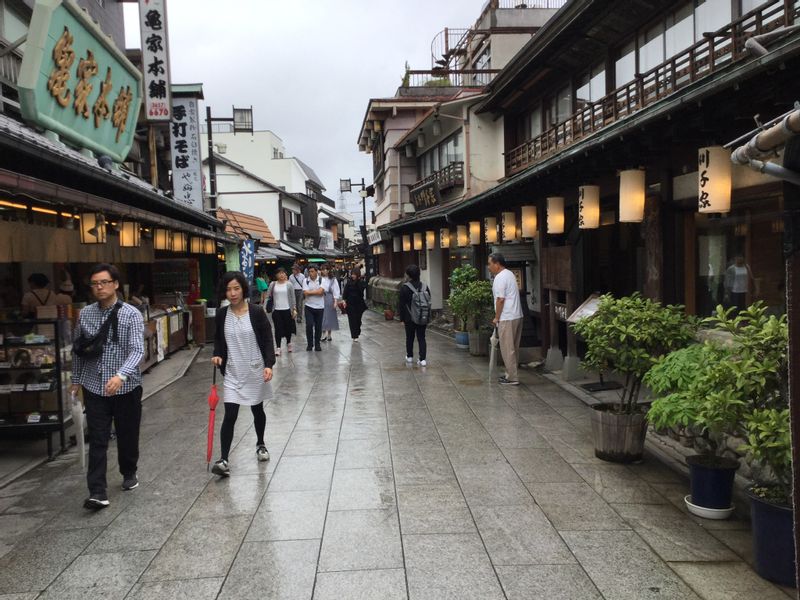 Tokyo Private Tour - The street to the temple