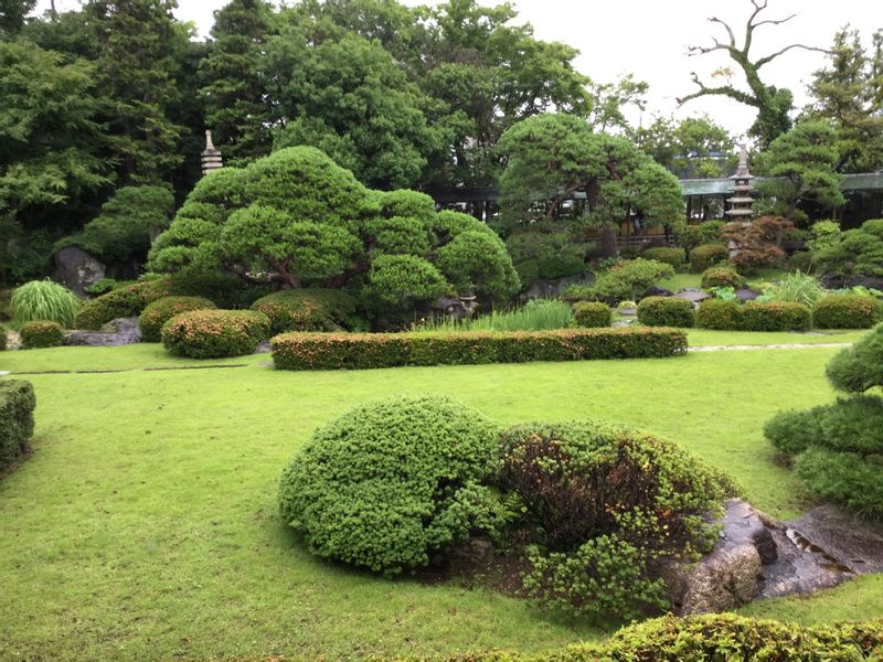 Tokyo Private Tour - Beautiful Japanese Garden 